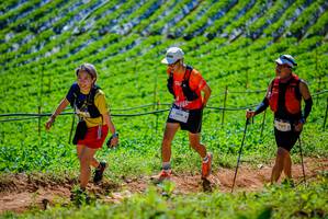 BIB: 1596
                            <button type="button" onclick="openModal(19163832)" class="btn btn-primary btn-sm float-right btn-popup" data-toggle="modal" data-target=".modal-high-quality">
                        <i class="fas fa-shopping-cart"></i> Add to Cart
                    </button>
                                            <button type="button" onclick="isThisMe(19163832, true)" class="btn btn-success btn-sm float-right btn-popup btn-isme hidden" data-toggle="tooltip" data-placement="bottom" title="นี่คือรูปของคุณใช่ไหม คลิกที่นี่เพื่อเอาเข้าอัลบั้ม">
                        <i class="fas fa-plus"></i> Add to album
                    </button>
                    <button type="button" onclick="isThisMe(19163832, false)" class="btn btn-warning btn-sm float-right btn-popup btn-isnotme hidden">
                        <i class="fas fa-ban"></i> Remove from album
                    </button>